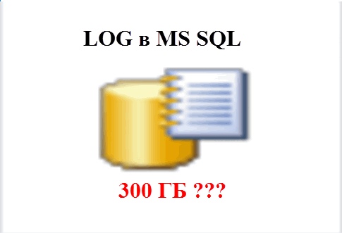 ms2.jpg