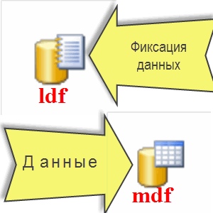 ms3.jpg