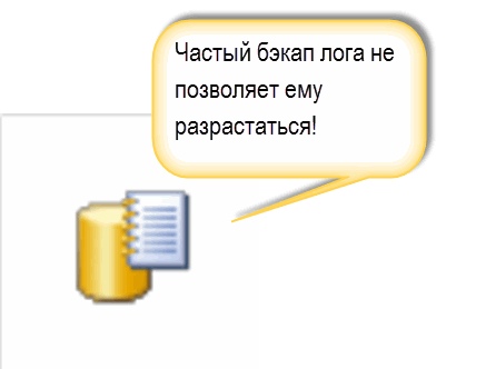 ms4.jpg